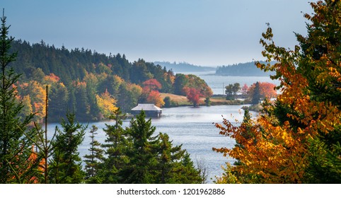 Autumn In Acadia National Park, Maine, USA