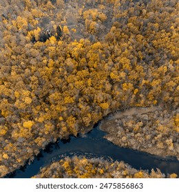 Autumn aerial look down on river curve in yellow wooded riverbanks. Autumnal nature with golden trees on riverbank hills - Powered by Shutterstock
