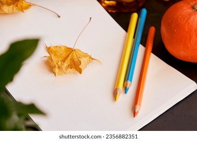 Autumn aesthetic among leaves   colored pencils  Empty album layout  Sustainable  eco  friendly lifestyle background  Halloween wish 