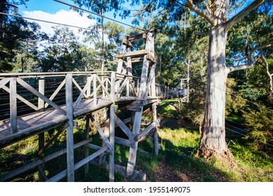 Autumn Afternoon Light Is Cast Over The Yarra River On The Yarra River Walk Trail At The Warburton Redwood Suspension Bridge In Warburton, Victoria,. Australia