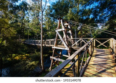 Autumn Afternoon Light Is Cast Over The Yarra River On The Yarra River Walk Trail At The Warburton Redwood Suspension Bridge In Warburton, Victoria,. Australia