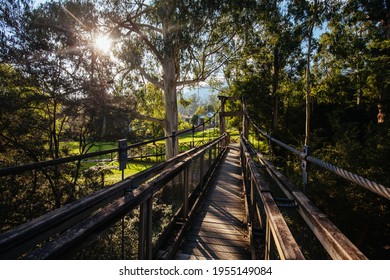 Autumn Afternoon Light Is Cast Over The Yarra River On The Yarra River Walk Trail At The Warburton Redwood Suspension Bridge In Warburton, Victoria,. Australia