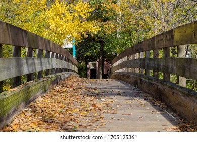 An Autumn Afternoon In Waltham, Massachusetts