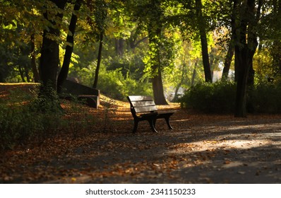 Autumn alley in the park with a bench.
