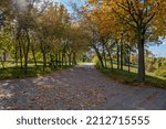 Autumn alley in the park in Konin Poland.