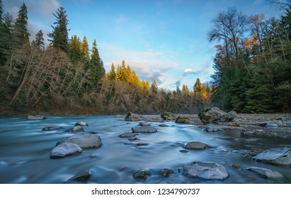 Autumn Along Queets River, Olympic Peninsula, Washington State