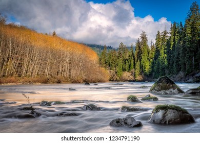 Autumn Along Queets River, Olympic Peninsula, Washington State