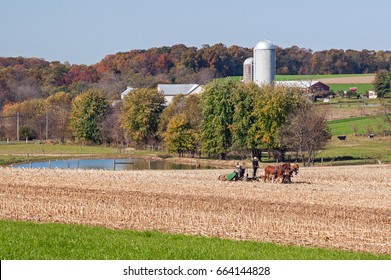 Autumn Amish Farm By Lancaster,Pennsylvania