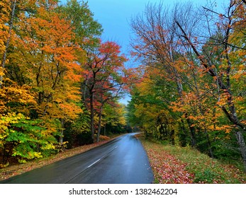 Autumn In Arcadia National Park