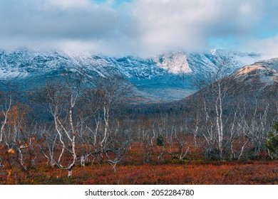 Autumn Arctic Landscape. View Of The Misty Snow-capped Mountains And Autumn Colorful Tundra In The Arctic,Kola Peninsula. Mountain Hikes And Adventures. Austere, Cold Atmosphere. 