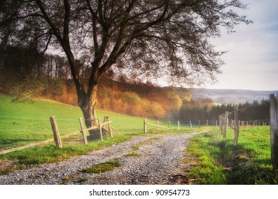 Autumn in the Ardennes - Powered by Shutterstock