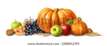 Autumn arrangement with pumpkins, grapes, apples and nuts on white background