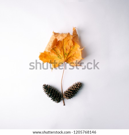 Similar – Image, Stock Photo Close-up of some isolated yellow leaves of rosa rubiginosa with a blurred background of nature