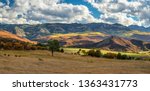 Autumn Aspen on County Road 8 near Ridgway Colorado Mountains	