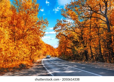 Autumn Asphalt Road Landscape And Car In Motion On Beautiful Cloudy Day. Travel Auto Trip Autumn Rain Road In Forest Under Dramatic Cloudy Sky. Fall Color