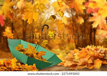 Autumn atmosphere. Golden leaves flying out of green umbrella in beautiful park