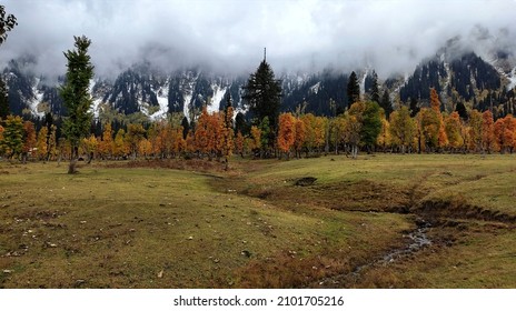 essay on autumn in kashmir