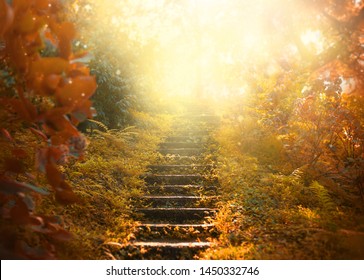 Autumn backdrop stairs sky. amazing mysterious road steps leads mystical world, fairytale path hides among yellow orange trees, magical October foggy art fantasy nature foliage garden bright abstract 