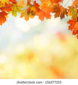 Autumn Background 