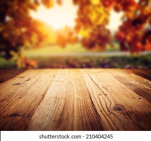 autumn background  - Shutterstock ID 210404245