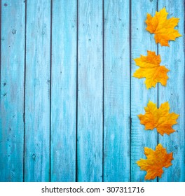 Yellow Flowers On Vintage Wooden Background Stock Photo 556767049 ...