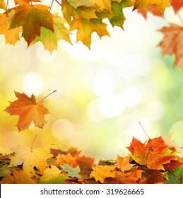 autumn background  - Shutterstock ID 319626665