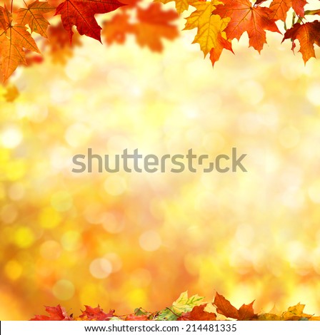 autumn background