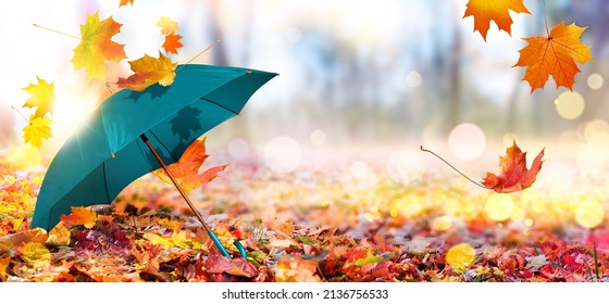 Autumn background with aqua blue umbrella on fallen leaves landscape with sunbeam at sunset. - Powered by Shutterstock