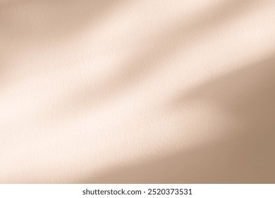 Autumn Background Beige Studio with shadow leaves on cement wall,Empty Backdrop Display Room with sunlight overlay on floor,Concept for Cosmetic product presentation,Sale,Online shop in Fall Season