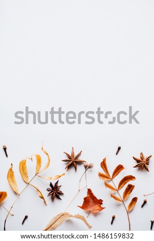 Similar – Autumn leaves with watering can and garden tools