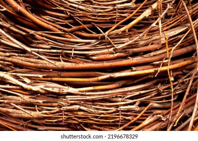 Autumn Background From Branches In Brown-beige Tones. Poster With Atmospheric Mood In Autumn Colors.