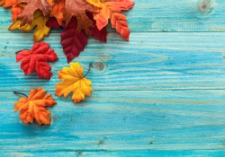 Autumn fall leaves flat design stock photo containing autumn and fall ...