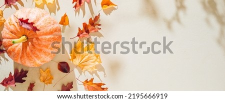 Autumn background in countryside. Orange Halloween pumpkin and yellow fallen leaves with shadows on stone texture