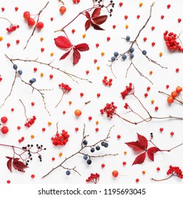 Autumn background. Creative flat layout of red autumn leaves, wild apples, twigs, rowan berries and viburnum, top view.