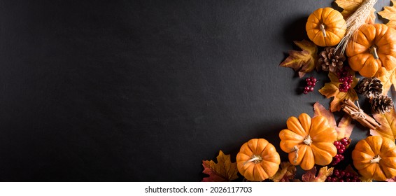 Hello Autumn Word In Colorful Pumpkins Background HD October Wallpapers   HD Wallpapers  ID 88892
