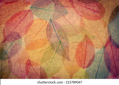 Autumn Background. Fall Leaves Texture