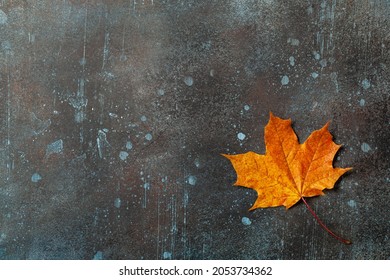 Autumn background with fall maple leaf on rusted metallic surface