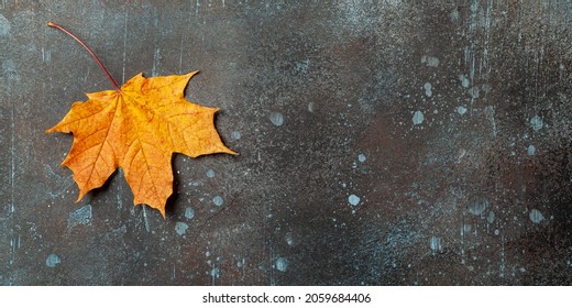 Autumn background with fall maple leaf on rusted metallic surface
