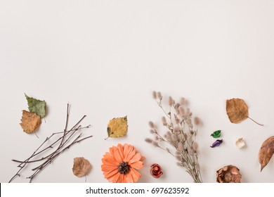 Autumn Background: Fallen Leaves, Dry Petals, Dried Flowers And Plants, Simple Rustic Branches And Orange Flower On White With Copy Space For Text From Top. Top View. Flat Lay.