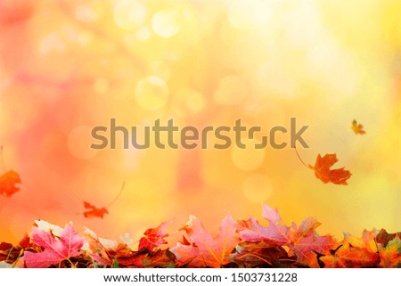 Autumn background with falling leaves