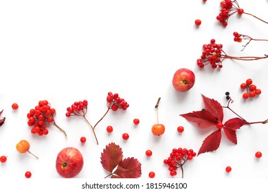 Autumn background, frame.Creative flat layout of red autumn leaves, wild apples, twigs, rowan berries and viburnum, top view.