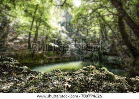 Similar – Green forest in the summer reflecting colors in a rive