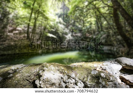 Similar – Green forest in the summer reflecting colors in a rive