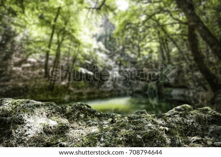 Similar – Green forest in the summer reflecting colors in a rive