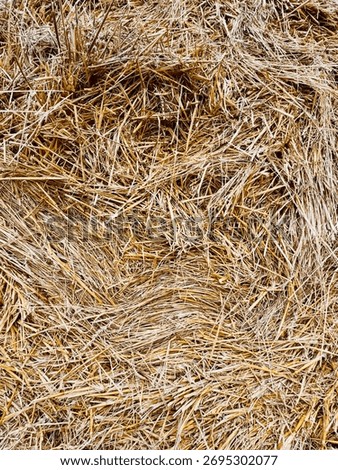  Autumn background of hay in a stack