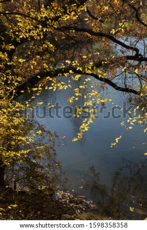 Similar – Foto Bild Am See Umwelt Natur