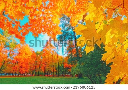 Similar – Image, Stock Photo Feels like Canada