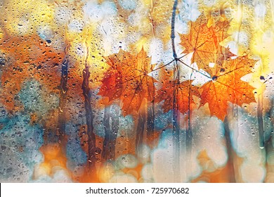 autumn background. autumn leaves on rainy glass texture, bright abstract natural backdrop. concept of fall season.  rainy day weather - Shutterstock ID 725970682