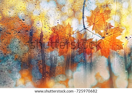 autumn background. autumn leaves on rainy glass texture, bright abstract natural backdrop. concept of fall season.  rainy day weather