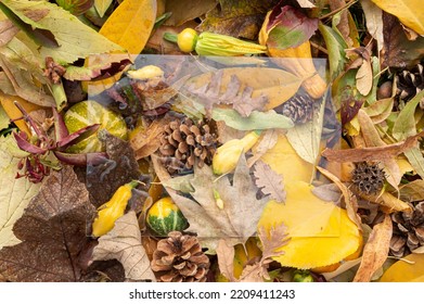 Autumn Background Made Of Dry Colorful Leaves, Pumpkins, Mushrooms, Pine Cones... Fall Aesthetic Concept With Glass As Copy Space.